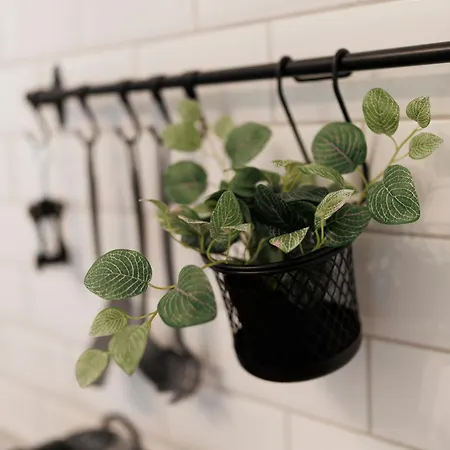 Hidden Gem In The Hearth Of Historical Center