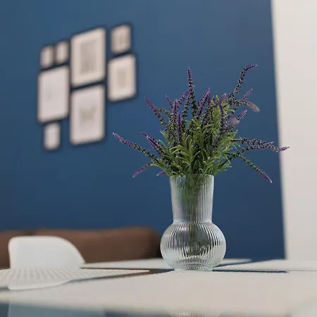 Hidden Gem In The Hearth Of Historical Center * تيميشورا