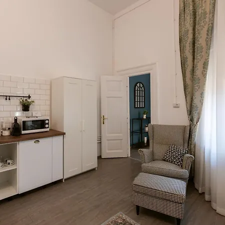 Apartment Hidden Gem In The Hearth Of Historical Center Timişoara