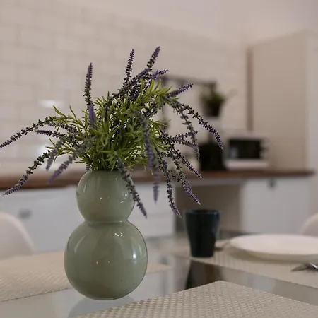 Apartment Hidden Gem In The Hearth Of Historical Center *