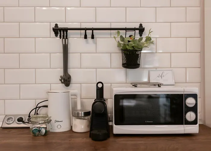 Hidden Gem In The Hearth Of Historical Center טימישוארה