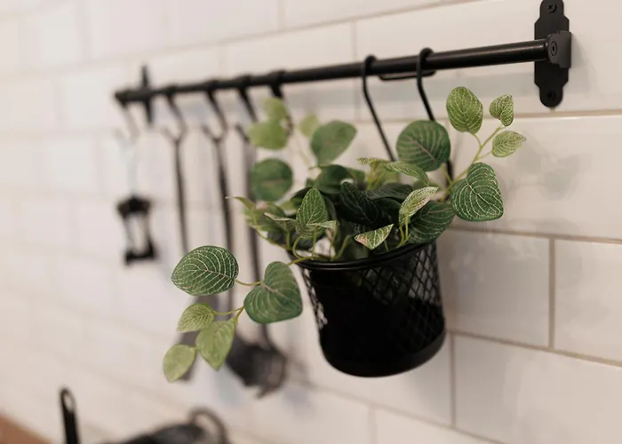 Hidden Gem In The Hearth Of Historical Center